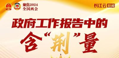 太燃了！看政府工作报告中的含“荆”量