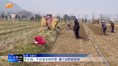 灵乡镇：不负春光好时景 播下田野新希望