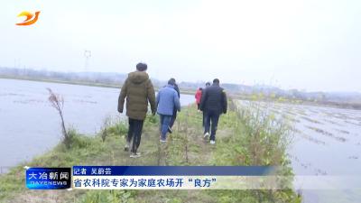 省农科院专家为家庭农场开“良方”