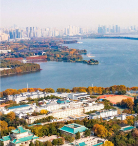 老外看盛会 | 长江何以碧水长流？