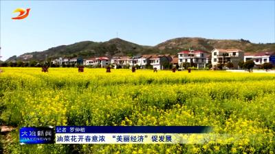 油菜花开春意浓 “美丽经济”促发展