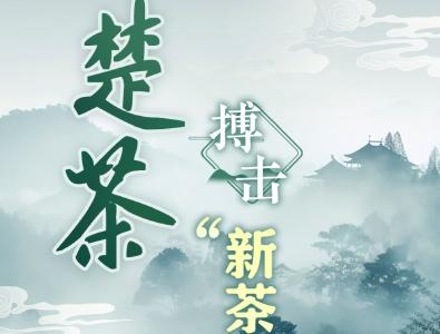 楚茶搏击“新茶饮江湖”