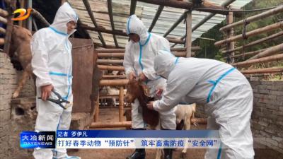 打好春季动物“预防针” 筑牢畜禽防疫“安全网”