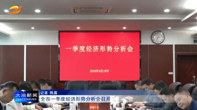 全市一季度经济形势分析会召开