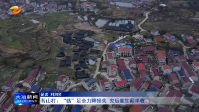 茗山村：“菇”足全力降损失 灾后重生迎丰收