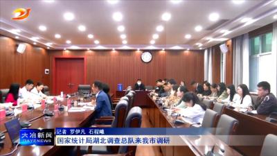 国家统计局湖北调查总队来我市调研