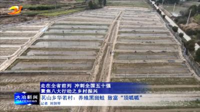 茗山乡华若村：养殖黑斑蛙 致富“顶呱呱”