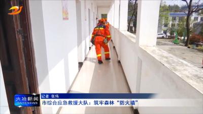 市综合应急救援大队：筑牢森林“防火墙”
