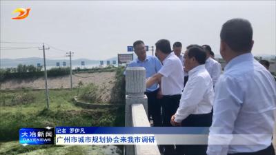 广州市城市规划协会来我市调研