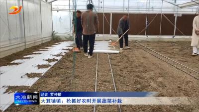 大箕铺镇：抢抓好农时开展蔬菜补栽