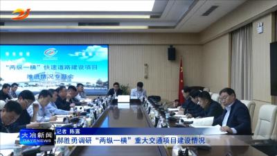 郝胜勇调研“两纵一横”重大交通项目建设情况