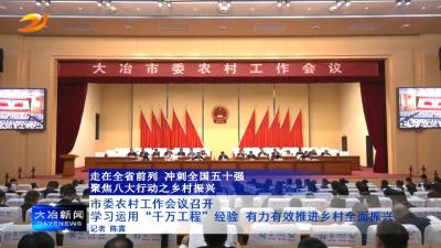 市委农村工作会议召开

学习运用“千万工程”经验 有力有效推进乡村全面振兴