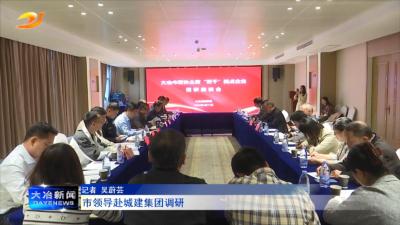 市领导赴城建集团调研