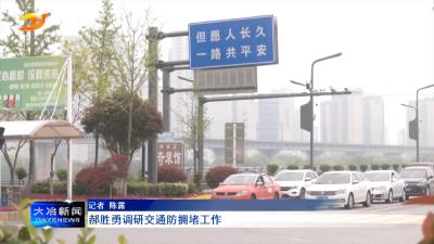 郝胜勇调研交通防拥堵工作