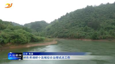 郝胜勇调研小流域综合治理试点工作