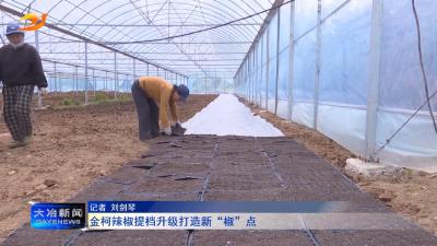 金柯辣椒提档升级打造新“椒”点