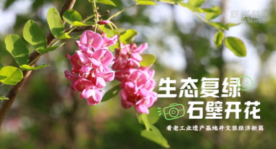 文化中国行｜生态复绿 石壁开花 看老工业遗产基地开文旅经济新篇