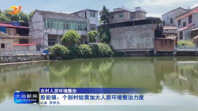 殷祖镇：个别村组需加大人居环境整治力度