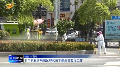 我市积极开展城区绿化苗木病虫害防治工作