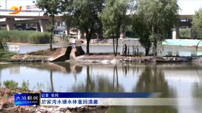 於家湾水塘水体重回清澈