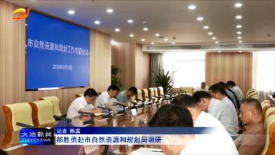 郝胜勇赴市自然资源和规划局调研