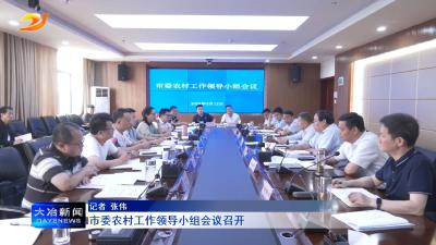 市委农村工作领导小组会议召开