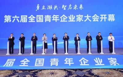 第六届全国青年企业家大会在汉开幕 徐乐江王忠林致辞