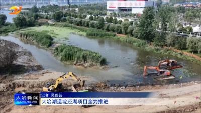 大冶湖退垸还湖项目全力推进
