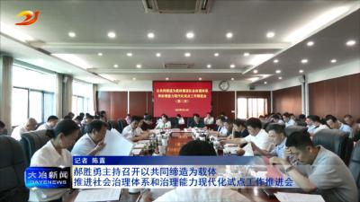 郝胜勇主持召开以共同缔造为载体推进社会治理体系和治理能力现代化试点工作推进会