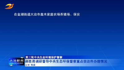 郝胜勇调研督导中央生态环保督察重点信访件办理情况