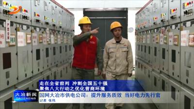 国网大冶市供电公司：提升服务质效 当好电力先行官