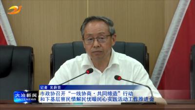 市政协召开“一线协商.共同缔造”行动和下基层察民情解民忧暖民心实践活动工作推进会