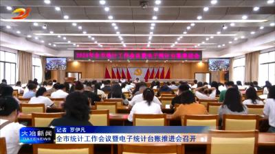 全市统计工作会议暨电子统计台账推进会召开