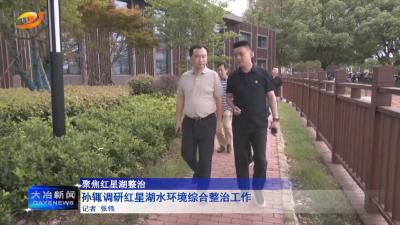 孙辄调研红星湖水环境综合整治工作