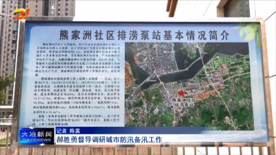 郝胜勇督导调研城市防汛备汛工作