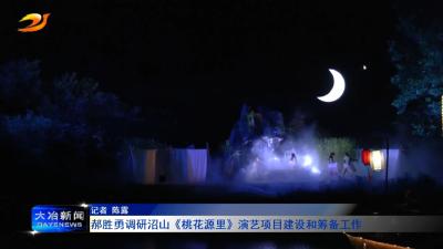 郝胜勇调研沼山《桃花源里》演艺项目建设和筹备工作