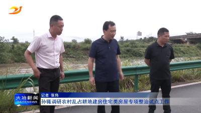 孙辄调研农村乱占耕地建房住宅类房屋专项整治试点工作