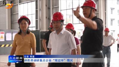 郝胜勇调研重点企业“双过半”情况