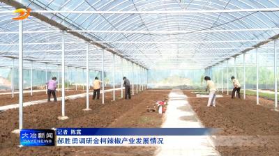 郝胜勇调研金柯辣椒产业发展情况