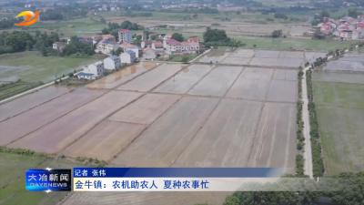 金牛镇：农机助农人 夏种农事忙