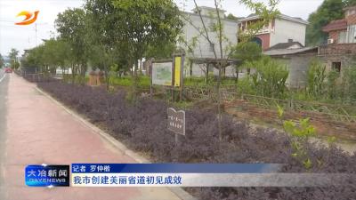 我市创建美丽省道初见成效