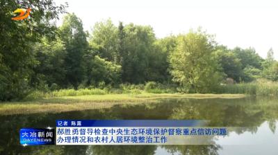 郝胜勇督导检查中央生态环境保护督察重点信访问题办理情况和农村人居环境整治工作