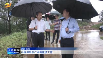 孙辄调研茶产业链建设工作