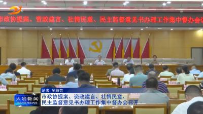 市政协提案、资政建言、社情民意、民主监督意见书办理工作集中督办会召开