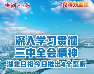 合集丨深入学习贯彻三中全会精神，湖北日报今日推出4个整版