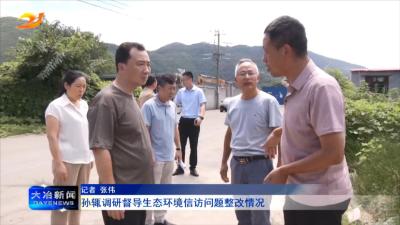 孙辄调研督导生态环境信访问题整改情况