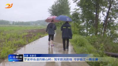 罗家桥街道四顾山村：筑牢防汛防线 守护临江一隅安澜