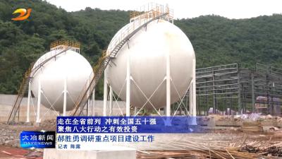 郝胜勇调研重点项目建设工作