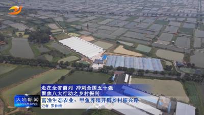 富渔生态农业：甲鱼养殖开辟乡村振兴路