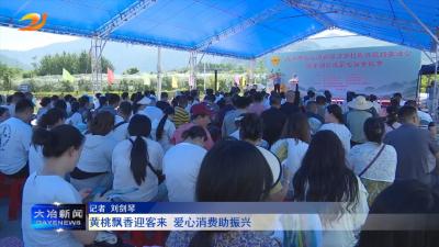 黄桃飘香迎客来 爱心消费助振兴